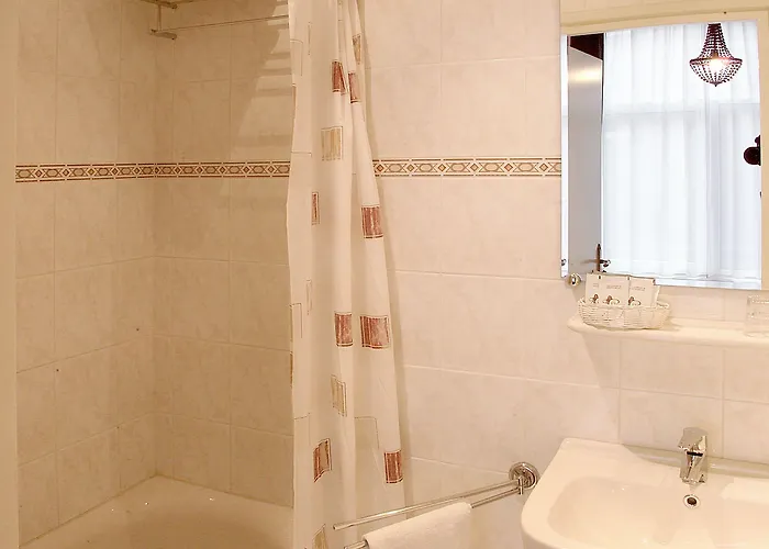 ニコラス ウィッツェン 3*